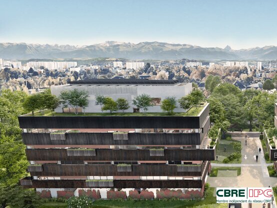 CBRE IPC Immobilier d'entreprise VENTE Bureau  PAU 7395FL