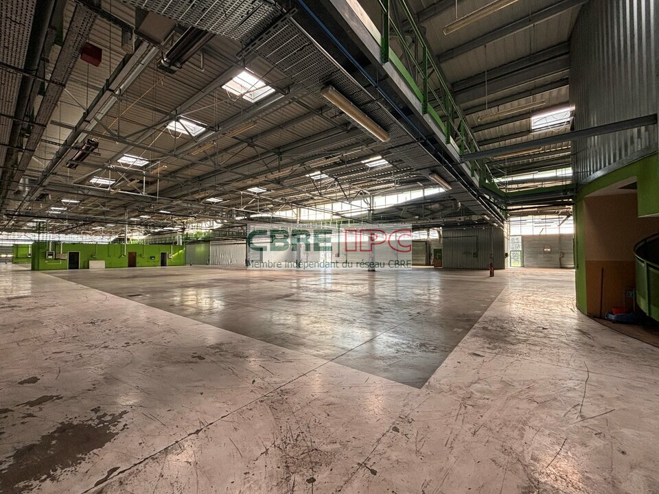 CBRE IPC Immobilier d'entreprise VENTE Local d'activités  LONS 7618FL