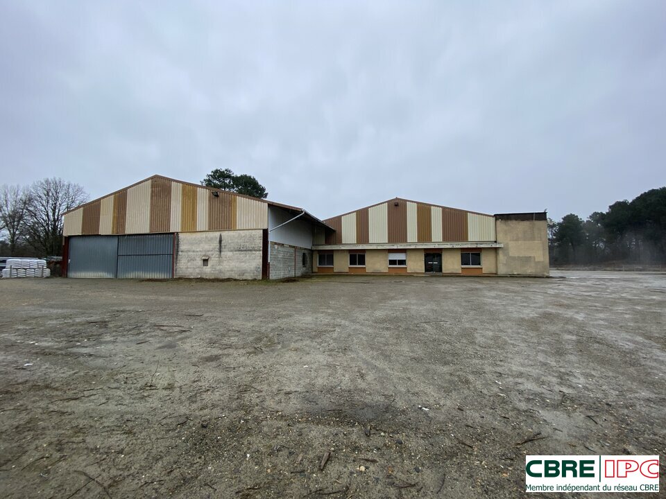 CBRE IPC Immobilier d'entreprise VENTE Local d'activités MONT-DE-MARSAN 8195MP/YA