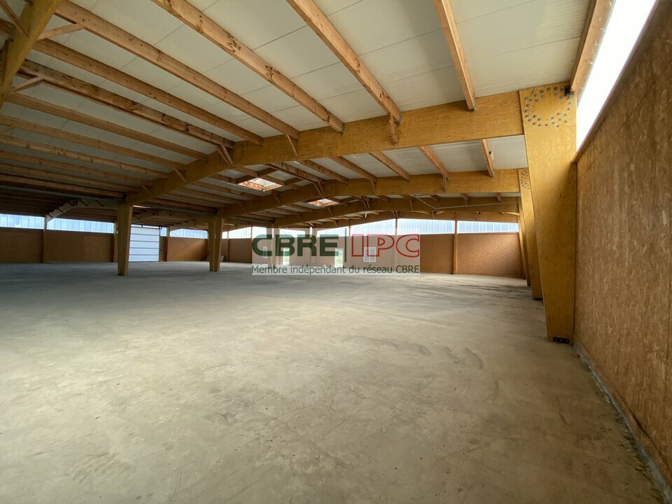 CBRE IPC Immobilier d'entreprise LOCATION Local d'activités IBOS 8167FL