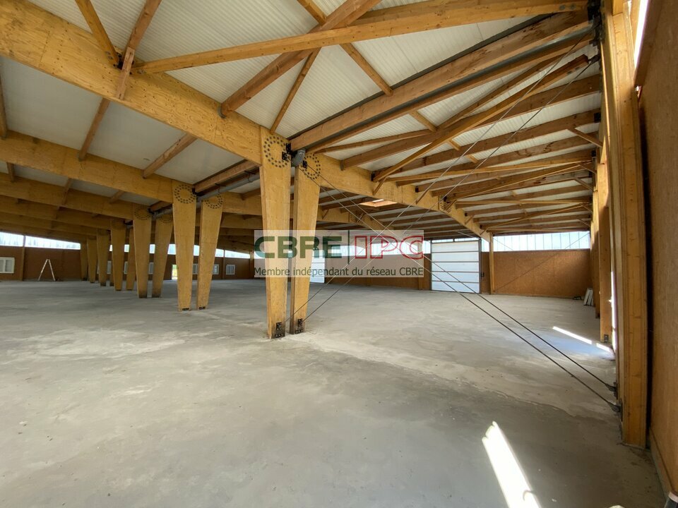 CBRE IPC Immobilier d'entreprise LOCATION Local d'activités IBOS 8167FL