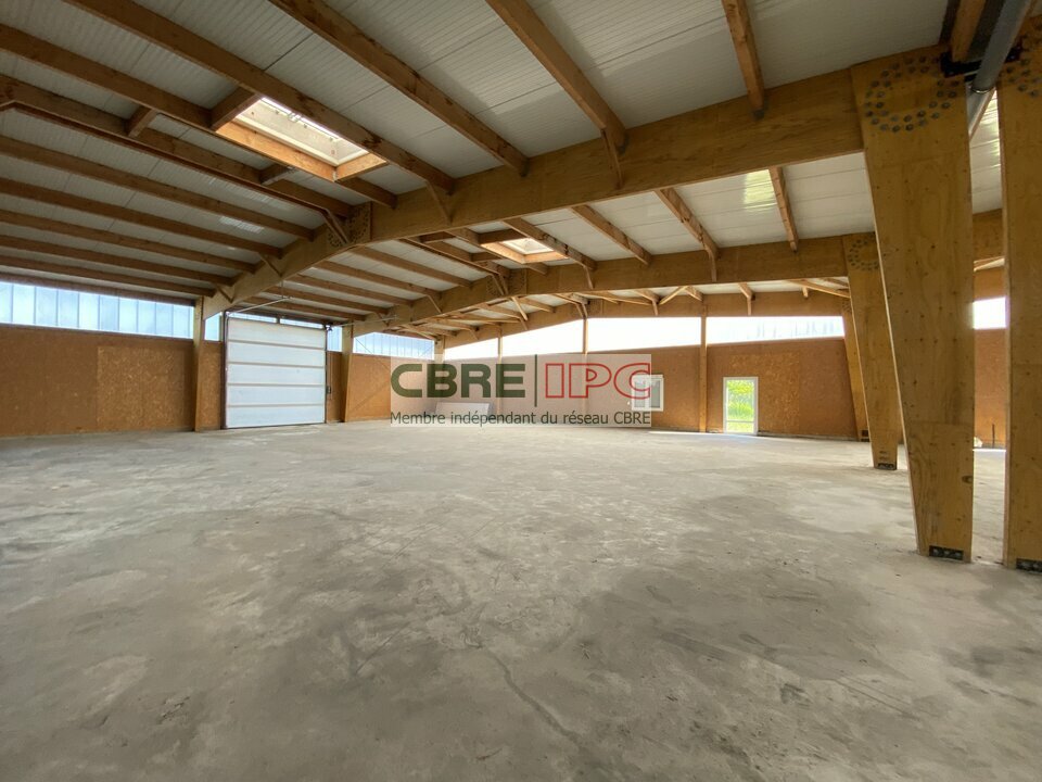 CBRE IPC Immobilier d'entreprise LOCATION Local d'activités IBOS 8167FL